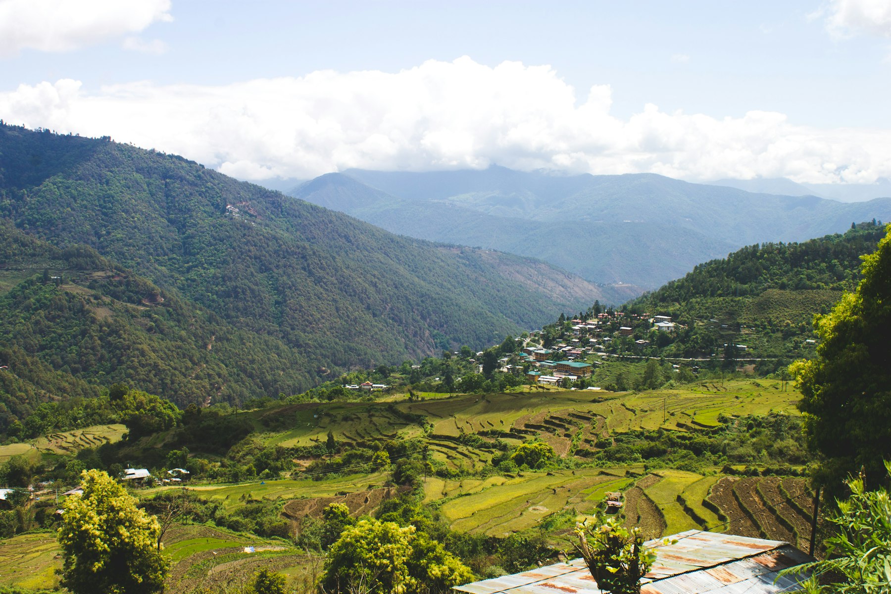 Green valleys and terraced fields in Bhutan